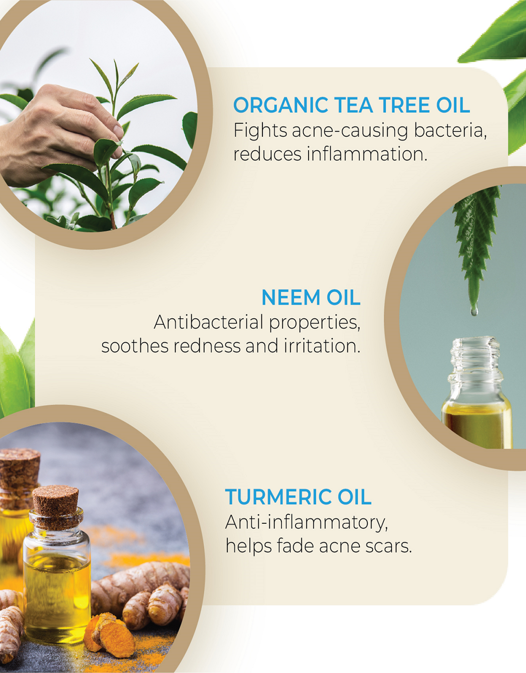 Acne Care Face Wipes 'Pack of 10’ By MW&B | EVRYDAE Essentials