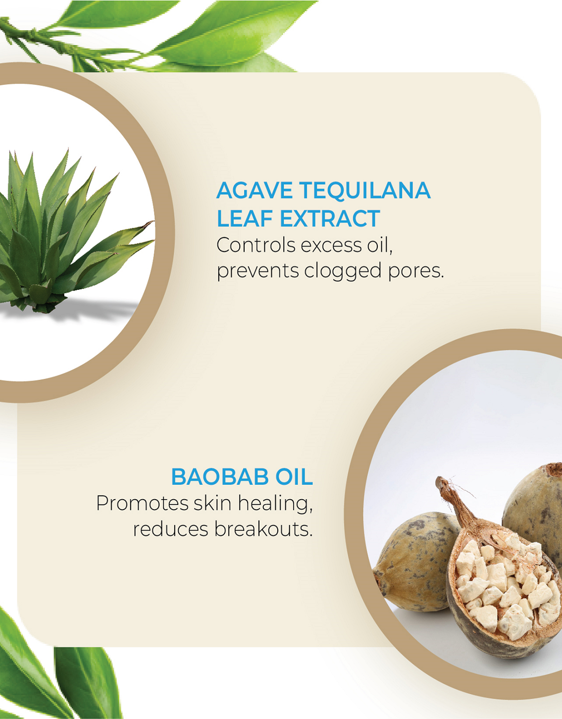 Acne Care Face Wipes 'Pack of 25’ By MW&B | EVRYDAE Essentials