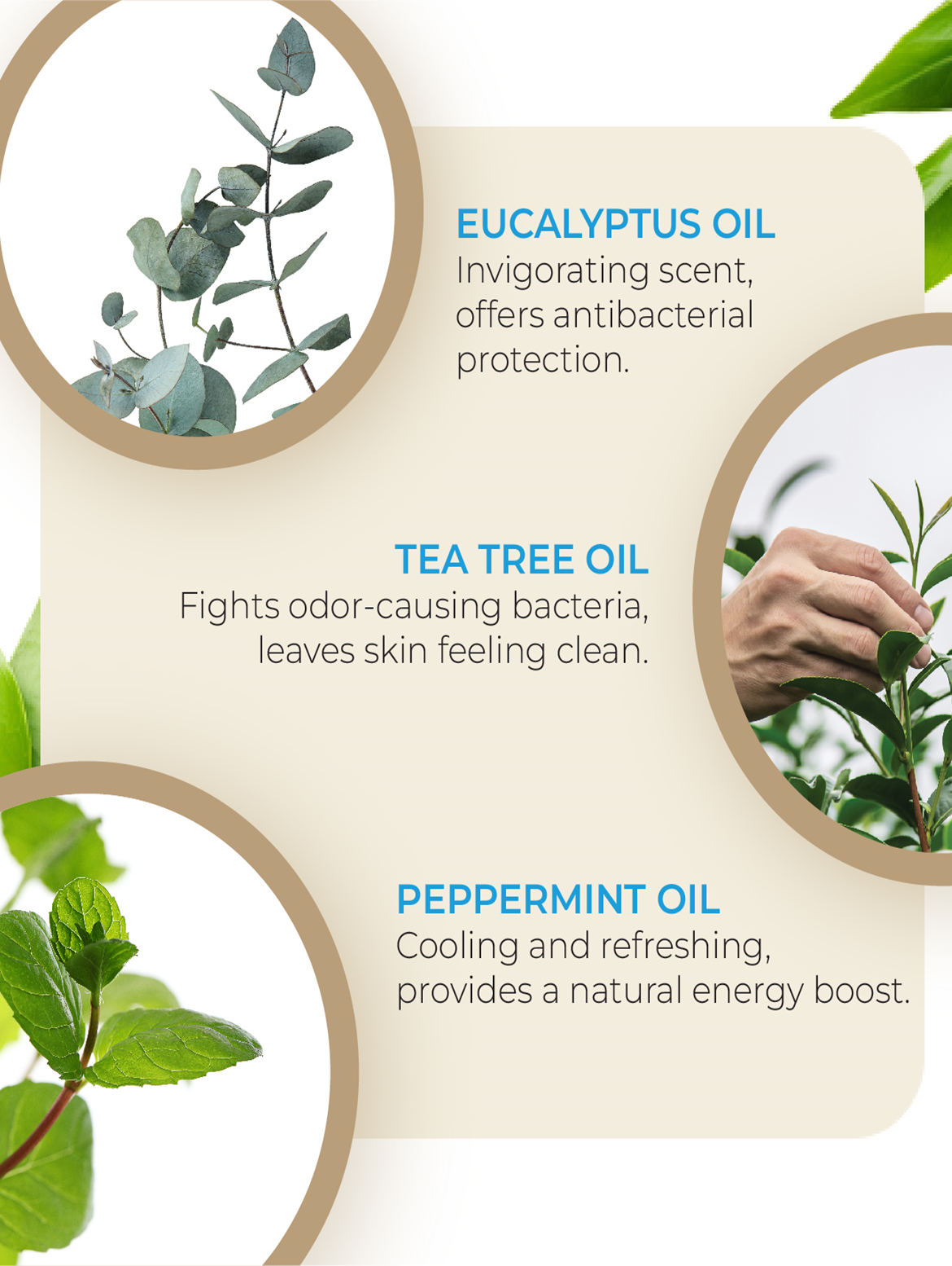 Alt Deo Natural Deodorising Body Flora Wipes 'Pack of 25’ By MW&B | EVRYDAE Essentials