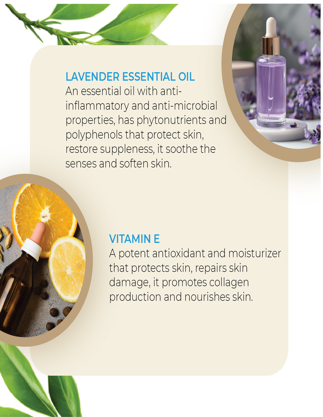 All Natural Body Wash '250 ML' By MW&B | EVRYDAE Essentials