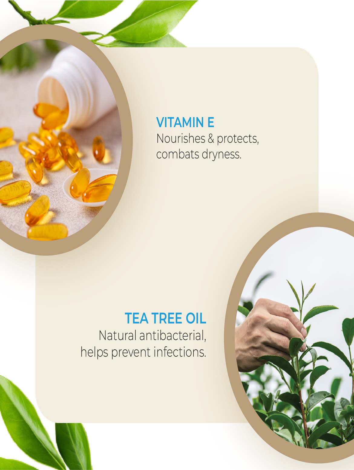 Feminine Wipes 3.5ph Balance 'Pack of 10’ By MW&B | EVRYDAE Essentials