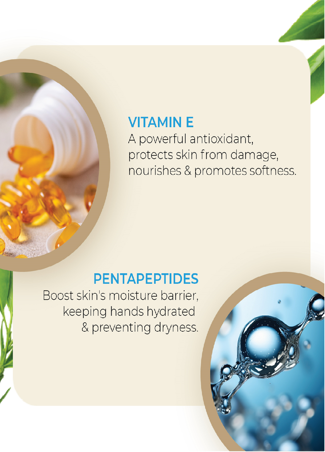 All Natural Hand Wash '250 ML' By MW&B | EVRYDAE Essentials