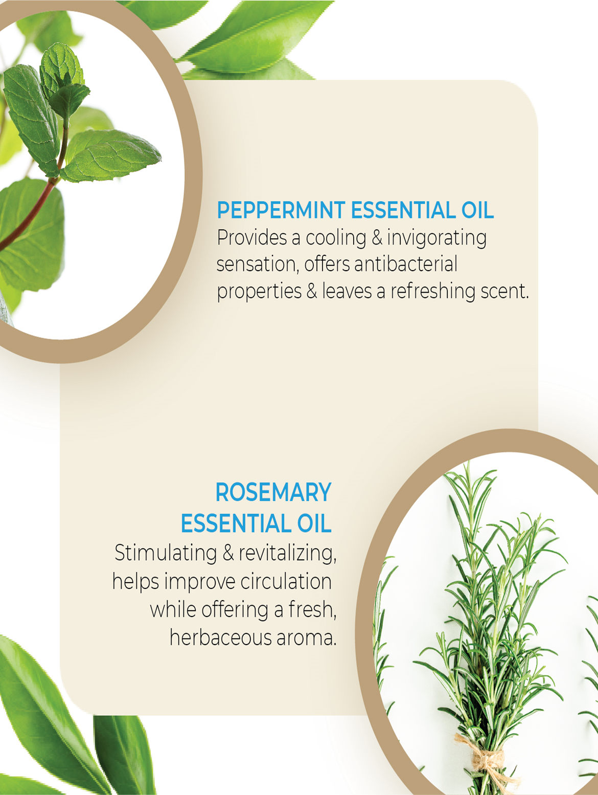 All Natural Hand Wash '250 ML' By MW&B | EVRYDAE Essentials