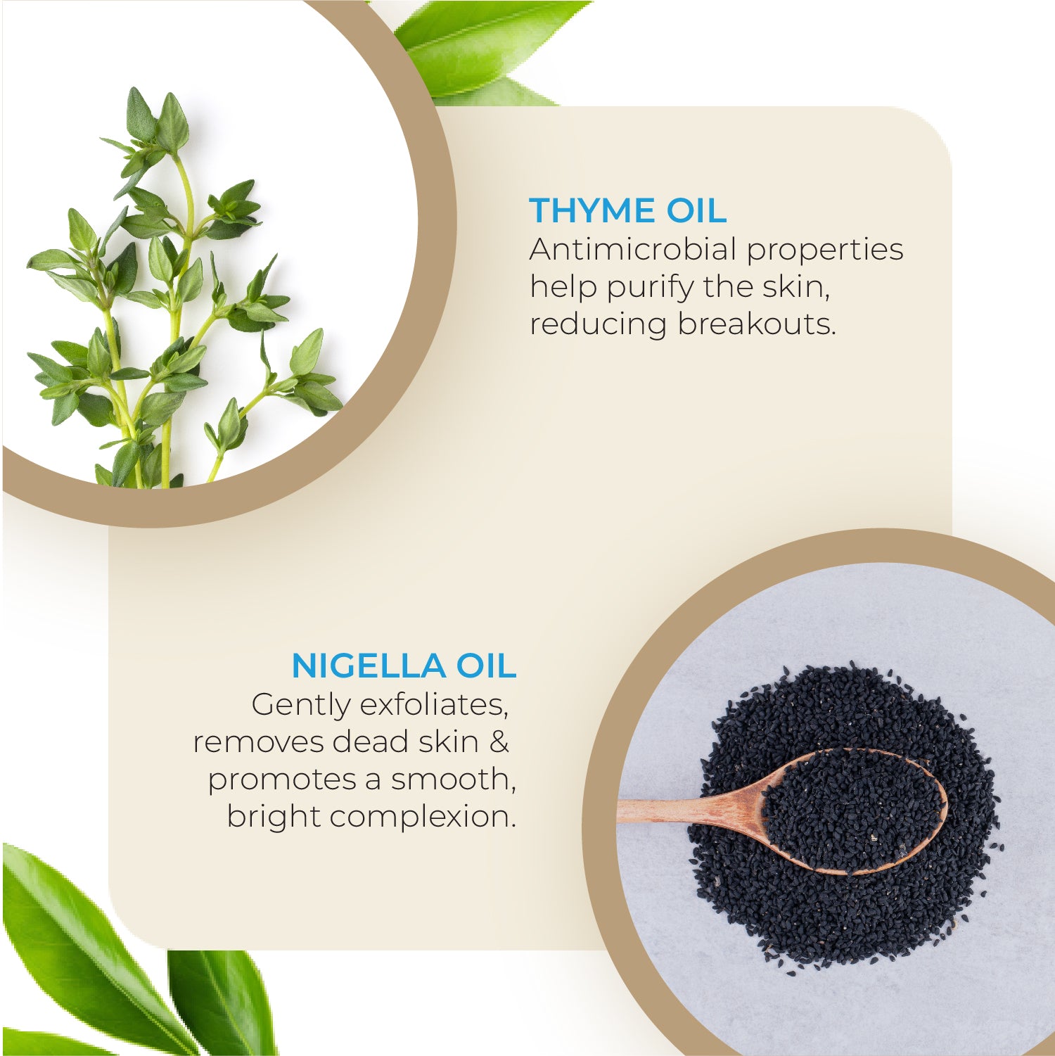 Buy MW&B WKLY Essential Best Makeup Remover Wipes for Face – 'Pack of 10’