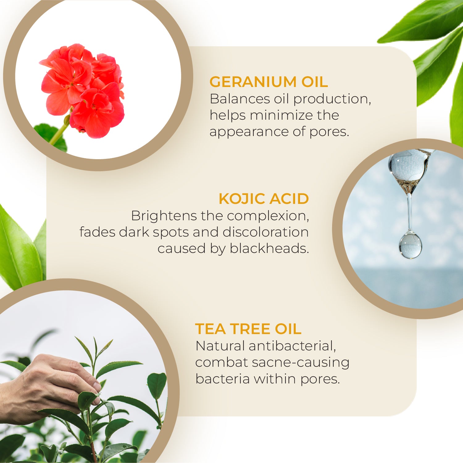 Pore Cleansing Black & Whitehead Removal Face Sheet Mask By MW&B | WKLY Essential