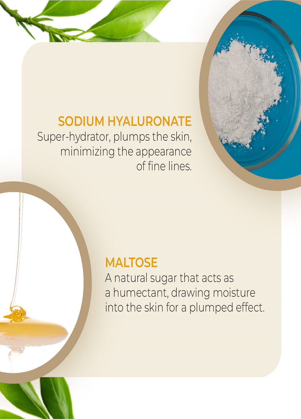 Skin Firming Face Sheet Mask By MW&B | WKLY Essentials