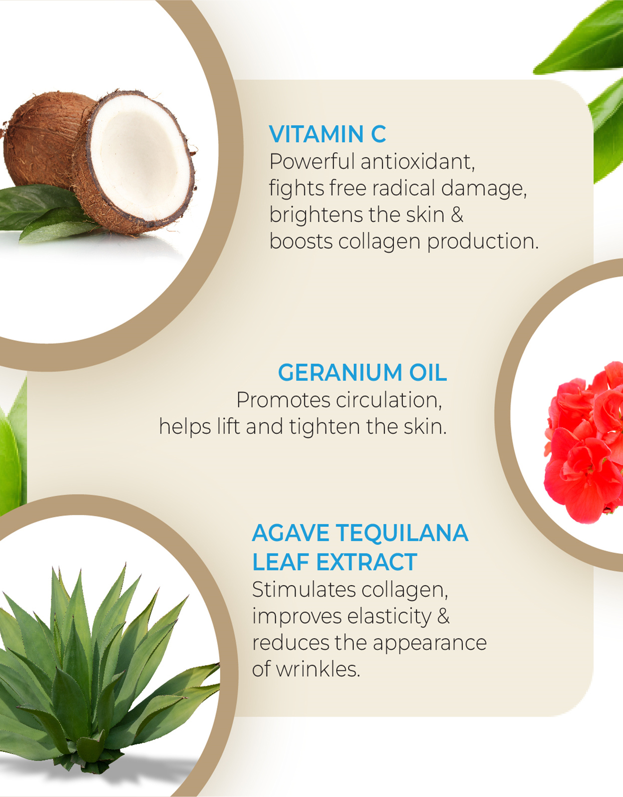 Buy Skin Firming Routine Combo By MW&B | EVRYDAE & WKLY Essentials