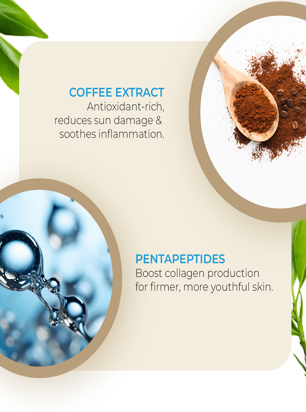 UV Shield Face Wipes 25’s By MW&B | | EVRYDAE Essentials