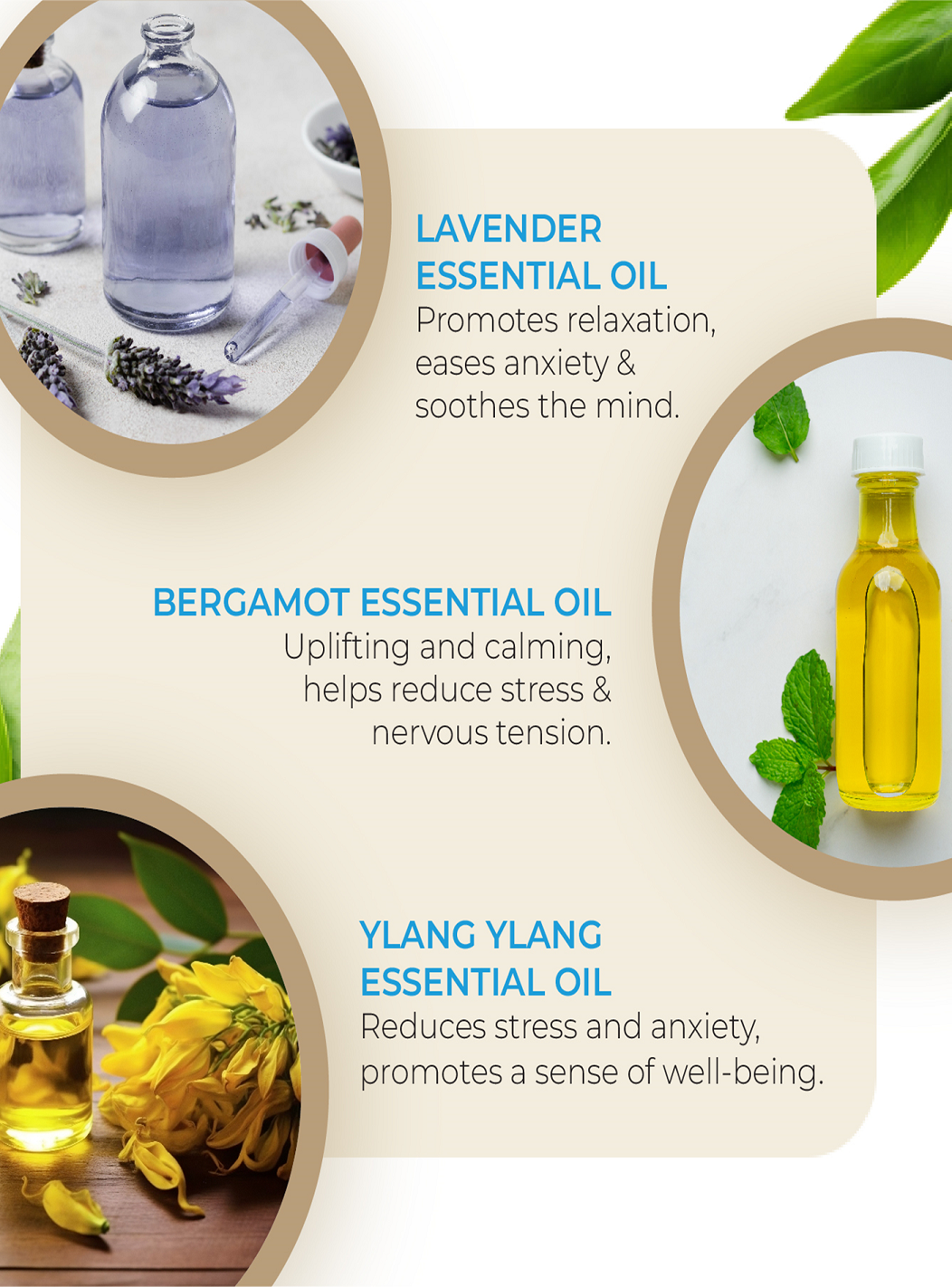 Unwind Face Wipes 25’s By MW&B | EVRYDAE Essentials